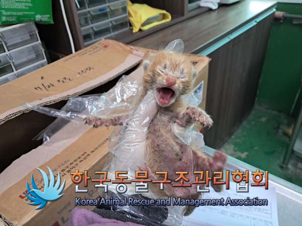 한국동물구조관리협회_441559202400856